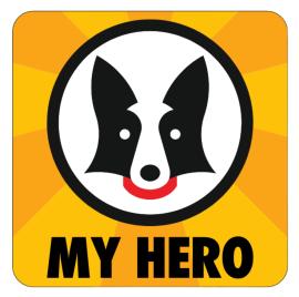 My Hero Service Gear