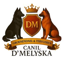 Canil DMelyska 
